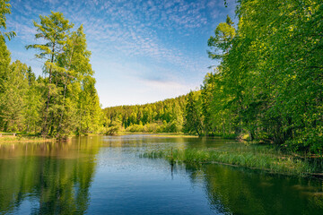 Wall Mural - Panoramic landscape on a sunny day on the river with the sky in the clouds and the reflection in the water.