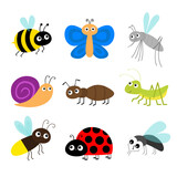 Fototapeta Pokój dzieciecy - Grasshopper, fly, firefly, ant, mosquito, bee bumblebee, butterfly, snail cochlea, lady bug ladybird flying insect icon set. Ladybug. Cute cartoon kawaii character. Flat design. White background