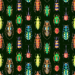 Watercolor seamless pattern with colorful beetles on white background. Hand painted insect illustration isolated on dark green background. 