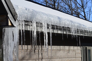 Melting icicles 