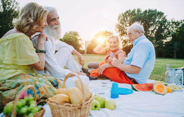 Group of seniors making a picnic at the park and having fun