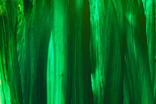 Bright Green Brush Strokes Background