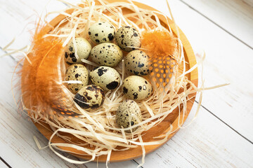 Easter. Quail eggs for Easter. Eggs in the nest. colored feathers.