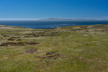 View From West Point Island, West Falkland Islands.