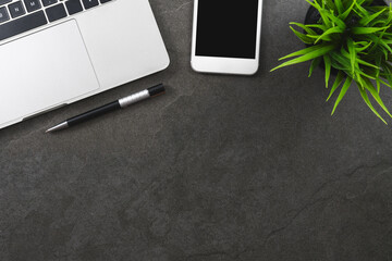 Wall Mural - modern workplace at home concept - top view of a silver laptop with a smartphone, pen and a green fl