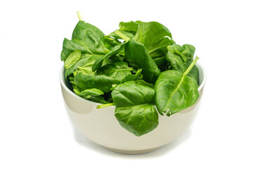 Wall Mural - Young spinach in bowl isolated on white background