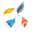 Watercolor feather. Hand draw watercolor illustrations on white background. Easter collection.