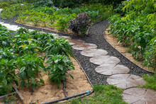 Landscaping In The Garden. The Path In The Garden.