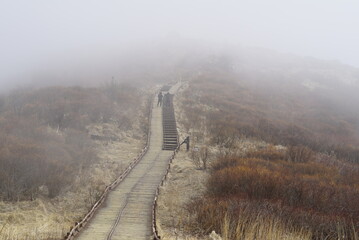 지리산, 경관, 노고단, 안개, 네이처, mountain, fog, street, 봄, 목초, 모닝, 들판, 가을, 국가, 구름, blue, 여행, 시골, 구름, green, h2o, 여름, 봄, 나무, 마운튼