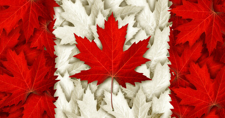 Wall Mural - canada leaf flag made with three dimensional illustration style as red maple leaves for an autumn sy