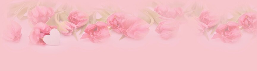 Wall Mural - Spring floral banner with soft pastel colors - background panorama - concept Mother's Day, Valentine's Day, wedding or birthday