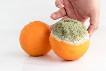 He separates the rotten orange from the healthy orange. Stock photo.