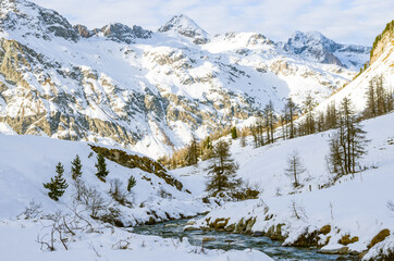 Wall Mural - Closeup shot of a flowing river through the snow-covered mo