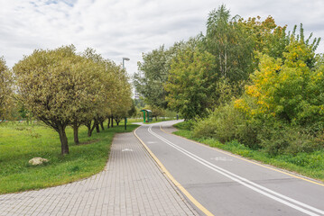 Afalted road in the forest. Cycling track.