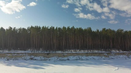 Canvas Print - Pine forest and frozen sea coast