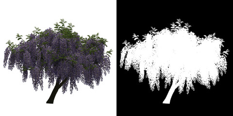 Wall Mural - Front view of Wisteria Floribunda Tree. PNG with alpha channel to cutout. Made from 3D model for compositing.