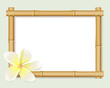 Bamboo and a plumeria flower bordering an empty frame
