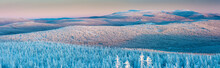 Panoramic Landscape Of Jizera Mountains, View From Peak Izera With Frosty Spruce Forest, Trees And Hills. Winter Time Near Ski Resort, Blue Sky Background. Liberec, Czech Republic, Northern Bohemia
