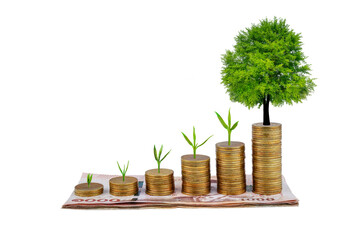 A tree growing on a coin step increase with money 1000 thai baht. Business growth on white background.