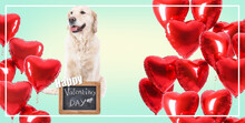Beautiful Greeting Card With Funny Dog For Valentine's Day Celebration