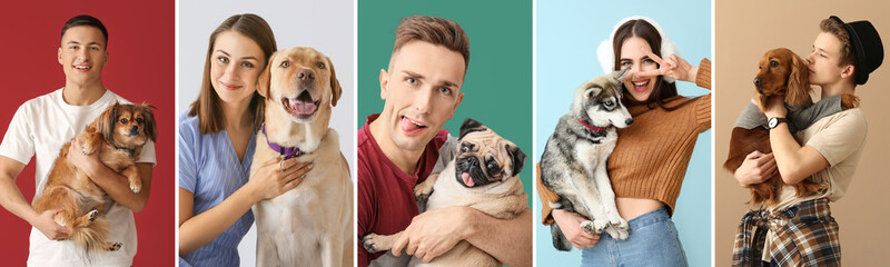 Poster - Heap of dry pet food on white background