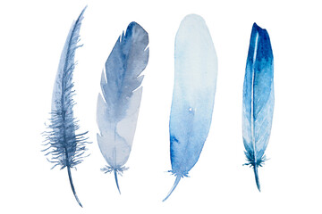 Set of watercolor blue feathers on white background. Bird's feather. Variegated feather.