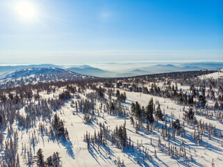 Wall Mural - Landscape Sheregesh snow covered pine forest in mountains during winter aerial top view