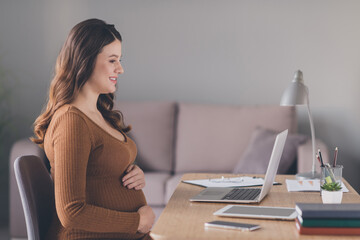 Poster - Photo portrait of pregnant mother working on laptop browsing in modern office