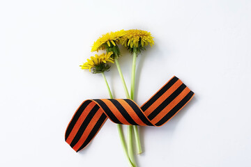 Yellow flowers and St. George ribbon on a white background. May 9 victory day background