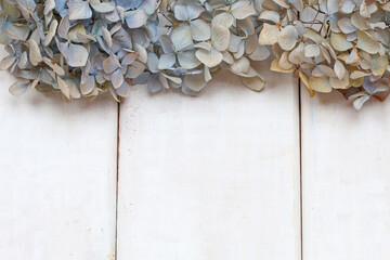 Wall Mural - Dried hortensia flowers on wooden background