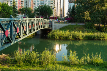 view of Bow river floing inside Calgary, Alberta, Canada