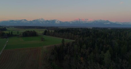 Wall Mural - Drone flying over green farmland farming field. Agriculture land with beautiful Alps mountains in the distance. Traffic on countryside road between fields. Agronomy concept. Slovenia flatland. Ascend