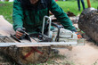 © andre - Closeup shot of a worker cutting a tree trunk with a machine