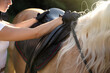 Young woman putting saddle on horse outdoors, closeup. Beautiful pet