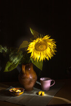 Still Life With Sunflower
