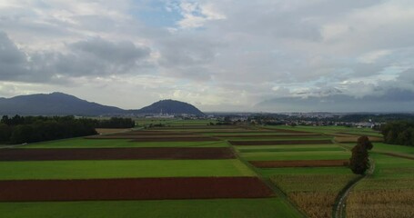 Wall Mural - Drone ascending above grassland farming field in Slovenia. Meadow farmland in Ljubljana basin with small town Kranj and Alps mountains in the distance