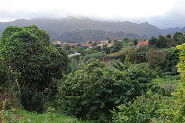 Portugal - Madeira - Santana