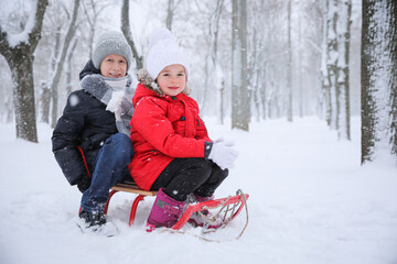 Poster - Cute little children enjoying sleigh ride outdoors on winter day, space for text