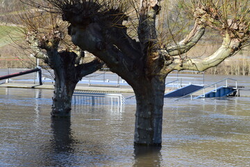 Wall Mural - Rheinhochwasser in Andernach 2021