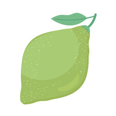 Poster - sweet guava fruit nutritive icon vector illustration design