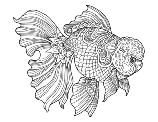 goldfish coloring page design clear background, mandalas design, and print design