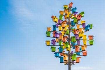 Canvas Print - Many colorful birdhouses among the houses.