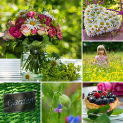 Wall Mural - Colorful collage of different garden pictures