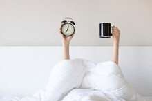Woman Showing Arm Raised Up Holding Coffee Cup And Black Alarm Clock Behind Duvet In The Bed Room, Young Girl With Two Hands Sticking Out From The Blanket. Wake Up With Fun In Morning Concept.