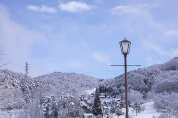 冬の山での景色青空と　樹氷　霧氷をした綺麗な木
