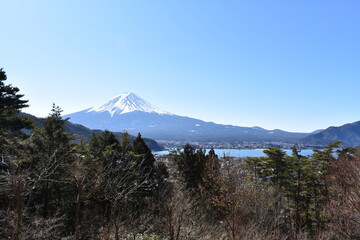 Canvas Print - 河口湖と富士山