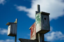 Red Green Painted Birdhouses Against Blue Sky With White Clouds