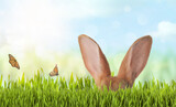 Fototapeta Miasto - Cute Easter bunny hiding in green grass outdoors, space for text