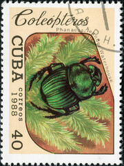 Wall Mural - CUBA - CIRACA 1988: A stamp printed in Cuba shows beetle Phanaeus leander waterhouse