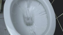 Flushing Water Into A White Toilet With A Raised Toilet Seat, Bathroom, Hygiene.